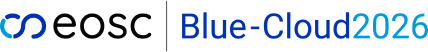 bluecloud_logo